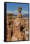 View of Thor's Hammer from the Navajo Loop Trail in Bryce Canyon National Park, Utah, United States-Michael Nolan-Framed Stretched Canvas