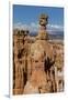 View of Thor's Hammer from the Navajo Loop Trail in Bryce Canyon National Park, Utah, United States-Michael Nolan-Framed Photographic Print