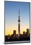 View of Tokyo Sky Tree-Torsakarin-Mounted Photographic Print