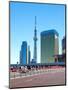 View of Tokyo Sky Tree-Torsakarin-Mounted Photographic Print