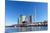 View of Tokyo Sky Tree-Torsakarin-Mounted Photographic Print