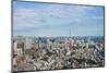 View of Tokyo Town-Teddy Leung-Mounted Photographic Print