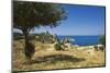 View of Tonnara Di Scopello, Castellammare Del Golfo, Sicily, Italy-Massimo Borchi-Mounted Photographic Print