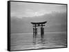 View of Torii in the Sea-null-Framed Stretched Canvas