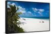 View of tourists on Pink Sands Beach, Dunmore Town, Harbour Island, Eleuthera Island, Bahamas-null-Framed Stretched Canvas