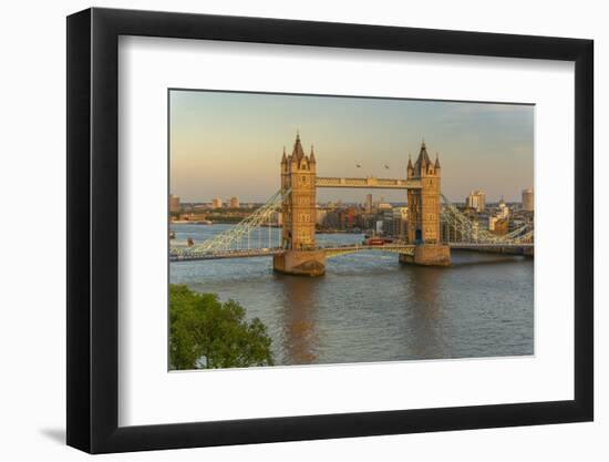 View of Tower Bridge and River Thames from Cheval Three Quays at sunset, London, England-Frank Fell-Framed Premium Photographic Print