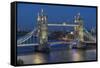 View of Tower Bridge from Cheval Three Quays at dusk, London, England, United Kingdom, Europe-Frank Fell-Framed Stretched Canvas