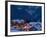 View of Town and Le Croisette Area, Courchevel 1850, French Alps, Savoie, France-Walter Bibikow-Framed Photographic Print