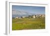 View of town and vineyard, Lumbarda, Korcula, Dubrovnik-Neretva County, Dalmatia, Croatia, Europe-Frank Fell-Framed Photographic Print