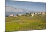 View of town and vineyard, Lumbarda, Korcula, Dubrovnik-Neretva County, Dalmatia, Croatia, Europe-Frank Fell-Mounted Photographic Print