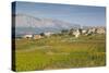 View of town and vineyard, Lumbarda, Korcula, Dubrovnik-Neretva County, Dalmatia, Croatia, Europe-Frank Fell-Stretched Canvas