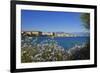 View of Town from Lantivy Seaside, Ajaccio, Corsica, France-Massimo Borchi-Framed Photographic Print
