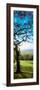 View of tree in valley, Wales-null-Framed Photographic Print