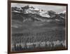 View Of Trees And Snow-Capped Mts "Long's Peak From Road Rocky Mountain NP" Colorado 1933-1942-Ansel Adams-Framed Art Print