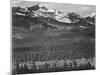 View Of Trees And Snow-Capped Mts "Long's Peak From Road Rocky Mountain NP" Colorado 1933-1942-Ansel Adams-Mounted Art Print