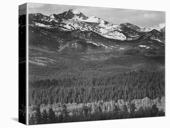View Of Trees And Snow-Capped Mts "Long's Peak From Road Rocky Mountain NP" Colorado 1933-1942-Ansel Adams-Stretched Canvas