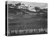 View Of Trees And Snow-Capped Mts "Long's Peak From Road Rocky Mountain NP" Colorado 1933-1942-Ansel Adams-Stretched Canvas