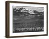 View Of Trees And Snow-Capped Mts "Long's Peak From Road Rocky Mountain NP" Colorado 1933-1942-Ansel Adams-Framed Art Print