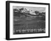 View Of Trees And Snow-Capped Mts "Long's Peak From Road Rocky Mountain NP" Colorado 1933-1942-Ansel Adams-Framed Art Print