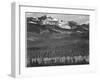 View Of Trees And Snow-Capped Mts "Long's Peak From Road Rocky Mountain NP" Colorado 1933-1942-Ansel Adams-Framed Art Print