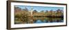 View of trees at marsh, Barrier Islands, North Carolina, USA-null-Framed Photographic Print