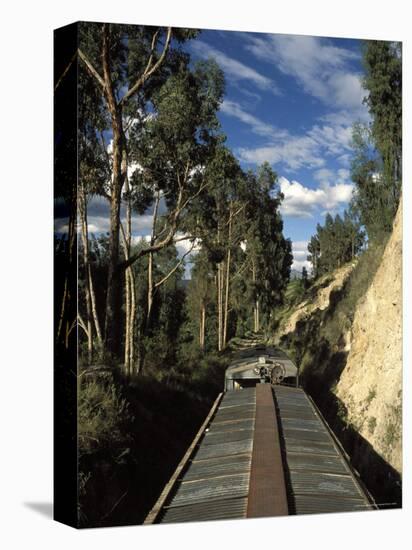 View of Trees from the Roof of the Train from Alausi to Riobamba, Ecuador, South America-Mark Chivers-Stretched Canvas