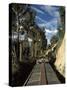 View of Trees from the Roof of the Train from Alausi to Riobamba, Ecuador, South America-Mark Chivers-Stretched Canvas