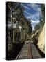 View of Trees from the Roof of the Train from Alausi to Riobamba, Ecuador, South America-Mark Chivers-Stretched Canvas