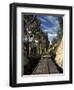 View of Trees from the Roof of the Train from Alausi to Riobamba, Ecuador, South America-Mark Chivers-Framed Photographic Print