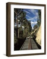 View of Trees from the Roof of the Train from Alausi to Riobamba, Ecuador, South America-Mark Chivers-Framed Photographic Print
