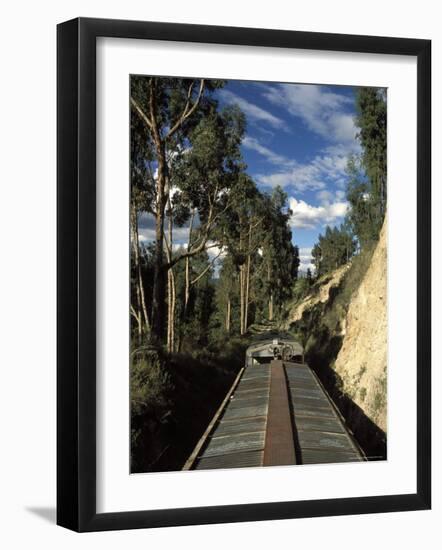 View of Trees from the Roof of the Train from Alausi to Riobamba, Ecuador, South America-Mark Chivers-Framed Photographic Print