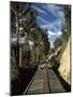 View of Trees from the Roof of the Train from Alausi to Riobamba, Ecuador, South America-Mark Chivers-Mounted Photographic Print