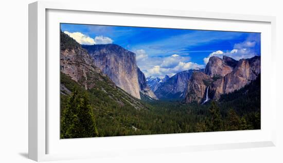 View of trees in a valley, Yosemite Valley, California, USA-null-Framed Photographic Print