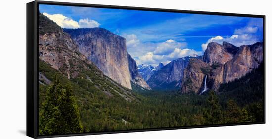 View of trees in a valley, Yosemite Valley, California, USA-null-Framed Stretched Canvas