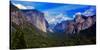 View of trees in a valley, Yosemite Valley, California, USA-null-Stretched Canvas