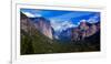 View of trees in a valley, Yosemite Valley, California, USA-null-Framed Photographic Print