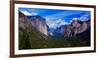 View of trees in a valley, Yosemite Valley, California, USA-null-Framed Photographic Print