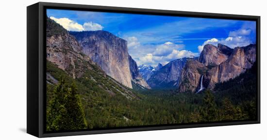 View of trees in a valley, Yosemite Valley, California, USA-null-Framed Stretched Canvas