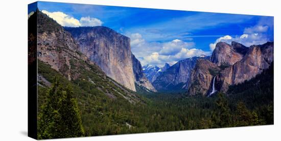 View of trees in a valley, Yosemite Valley, California, USA-null-Stretched Canvas