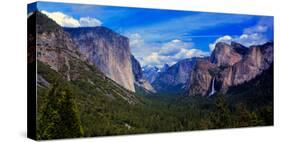 View of trees in a valley, Yosemite Valley, California, USA-null-Stretched Canvas