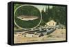 View of Trout Haven Hatchery - Gasquet, CA-Lantern Press-Framed Stretched Canvas