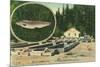 View of Trout Haven Hatchery - Gasquet, CA-Lantern Press-Mounted Art Print