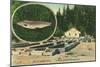 View of Trout Haven Hatchery - Gasquet, CA-Lantern Press-Mounted Art Print