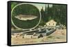 View of Trout Haven Hatchery - Gasquet, CA-Lantern Press-Framed Stretched Canvas