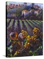 View of Tuscany-Clif Hadfield-Stretched Canvas