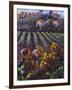 View of Tuscany-Clif Hadfield-Framed Art Print