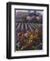 View of Tuscany-Clif Hadfield-Framed Art Print