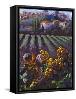 View of Tuscany-Clif Hadfield-Framed Stretched Canvas