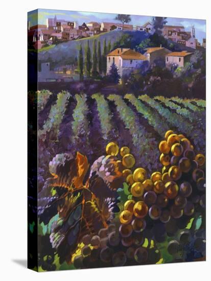 View of Tuscany-Clif Hadfield-Stretched Canvas