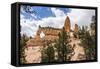 View of Two Towers Bridge from the Fairyland Trail in Bryce Canyon National Park, Utah, United Stat-Michael Nolan-Framed Stretched Canvas